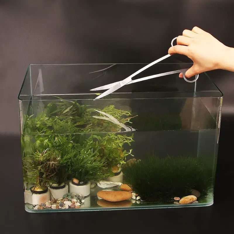 Aquarium Fish Popular - Kit di Accessori per Acquario Popolare,