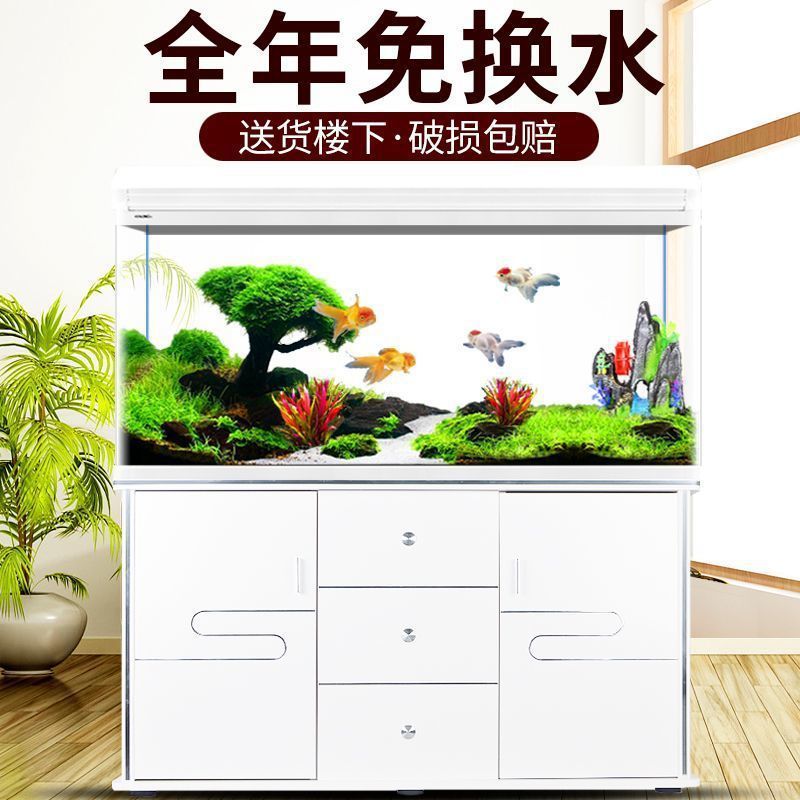 Aquarium Xilong - Acquario Xilong per pesci, piccolo e