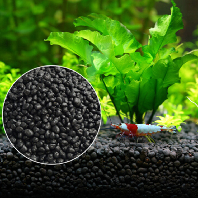 Aquarium Fish Accessories - Acquario semi di piante terreno acquario
