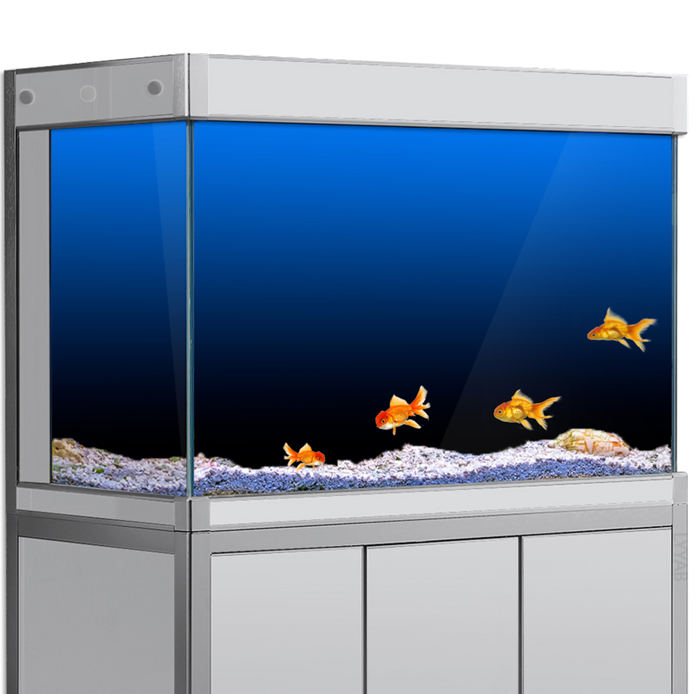 Aquarium Fish Black - Adesivo per sfondo acquario Nero Verde