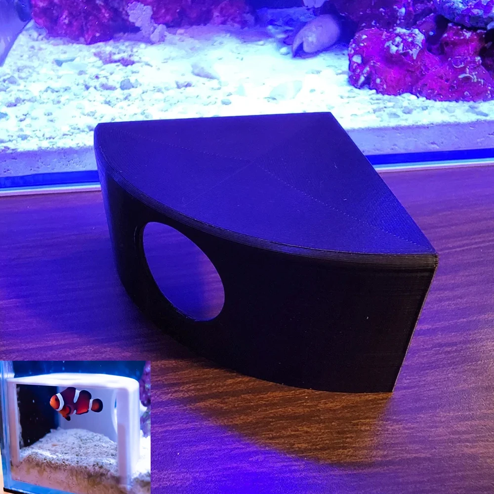 Aquarium Fish Game - Gioco giocoso della casa del nascondiglio