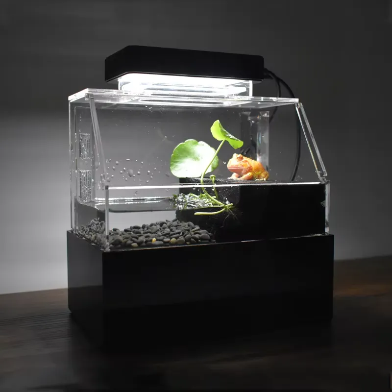 Aquarium Fish Sale - Relaxlines Acquario da Scrivania Personalizzato, Mini