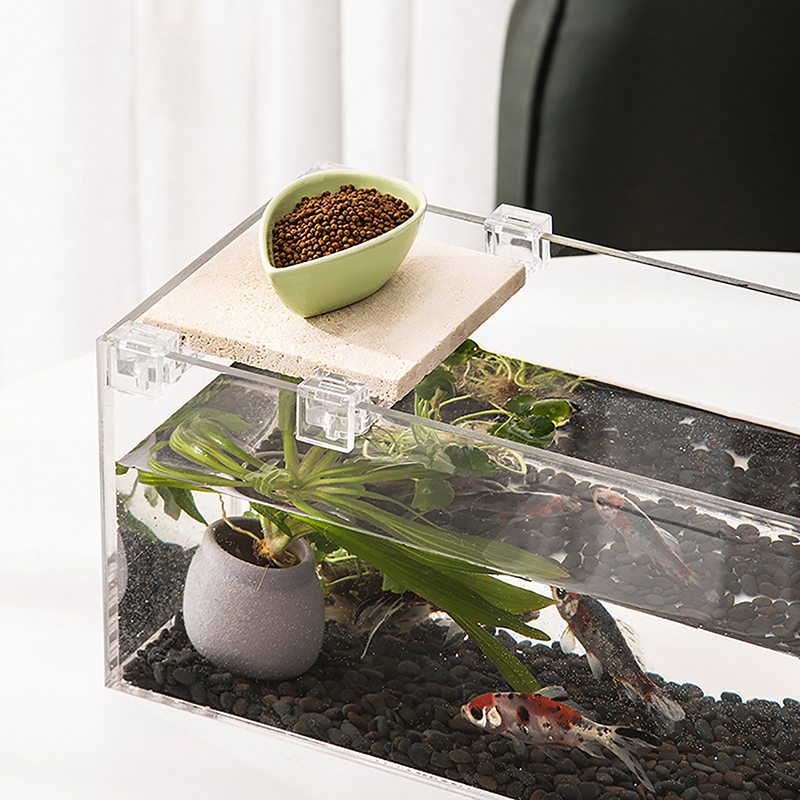 4 pezzi supporto per copertura - Aquarium Fish Items recensione e prezzo