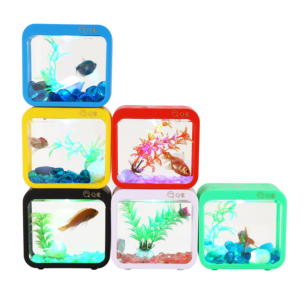 Scatola Betta creativa colorat - Aquarium Fish Game recensione e prezzo