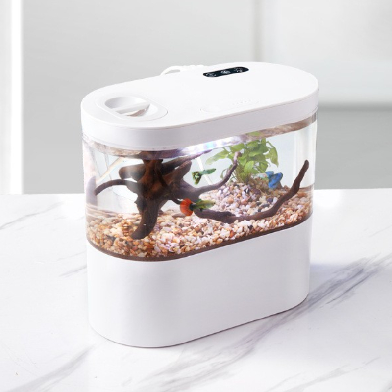Acquario da Tavolo Creativo co - Aquarium Fish Game recensione e prezzo