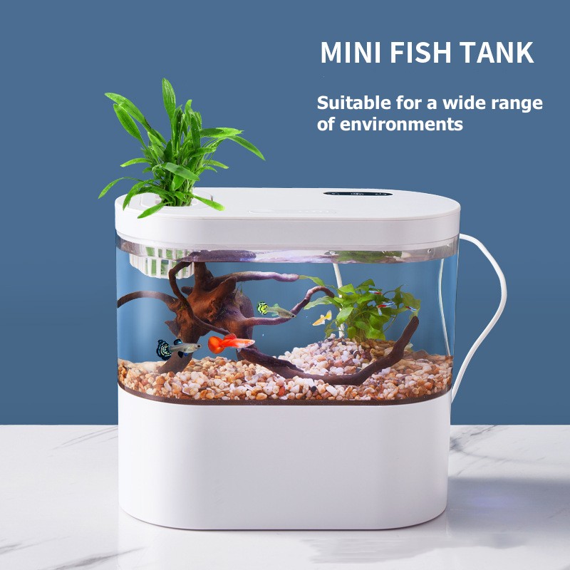 Acquario da Tavolo Creativo co - Aquarium Fish Game recensione e prezzo