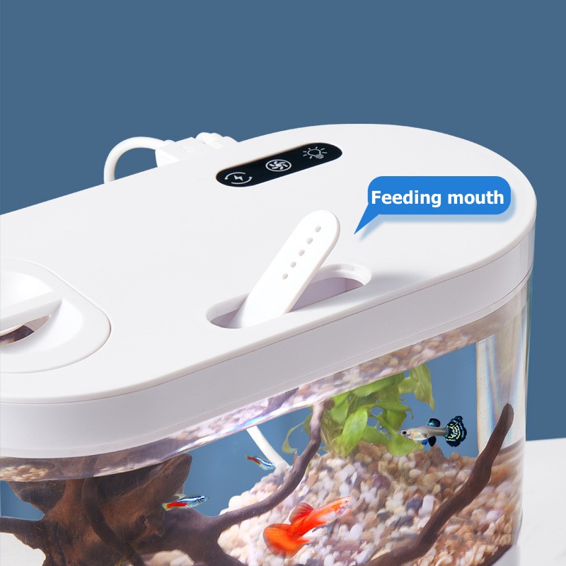 Acquario da Tavolo Creativo co - Aquarium Fish Game recensione e prezzo