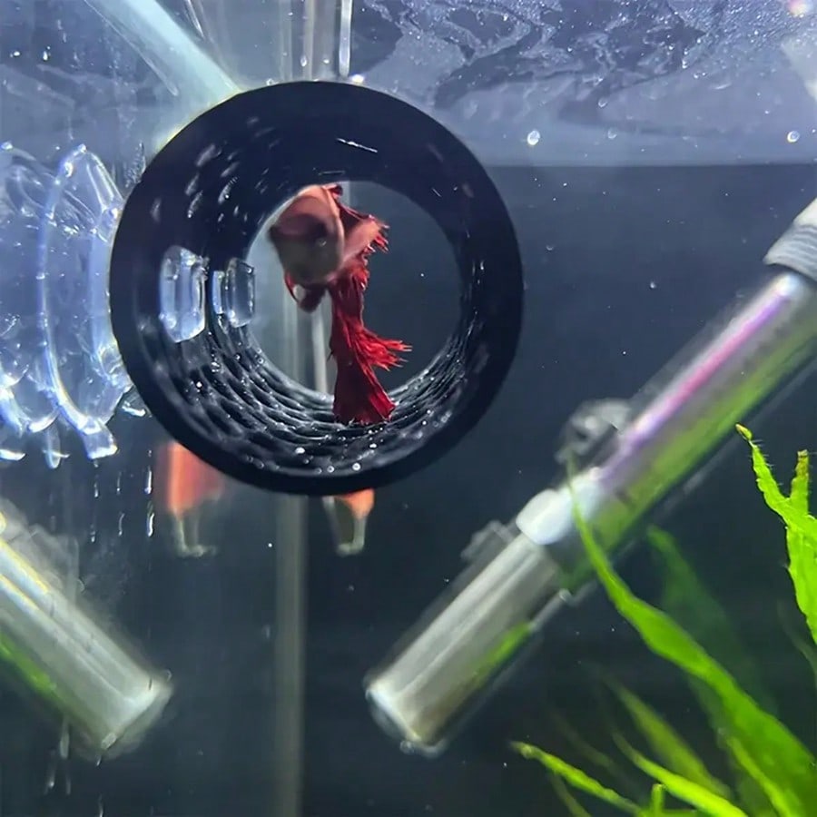 Nascondiglio per pesci d'acqua - Aquarium Fish Black recensione e prezzo