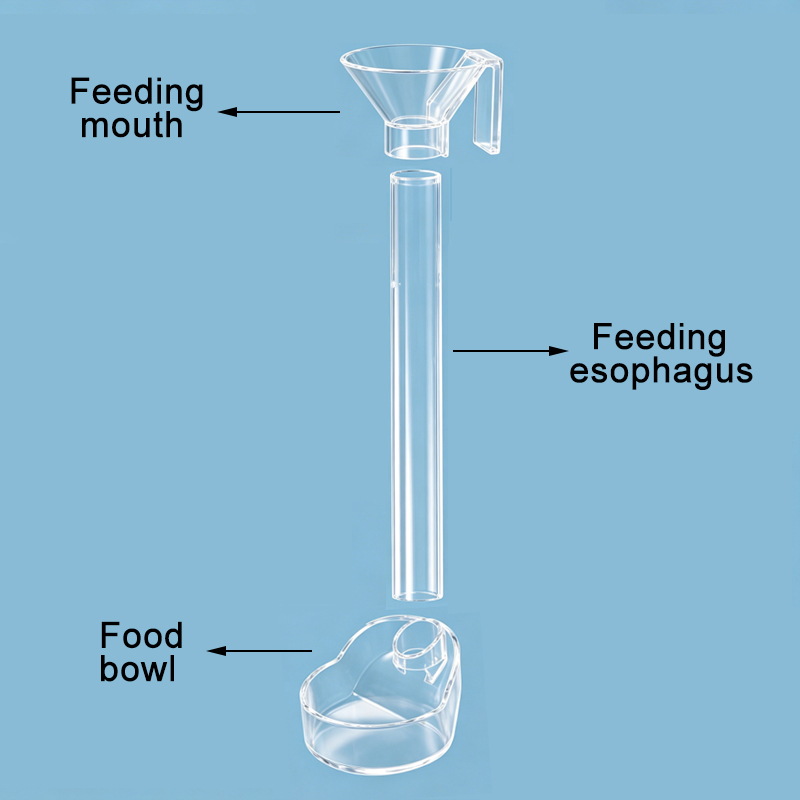 Dispenser di cibo per acquario - Aquarium Xxl recensione e prezzo