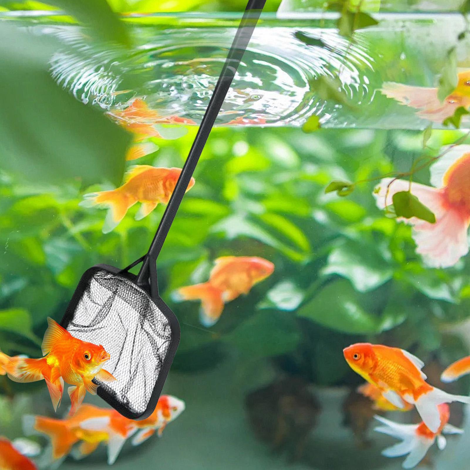 Reti per la Pulizia della Pisc - Aquarium Fish Accessories recensione e prezzo