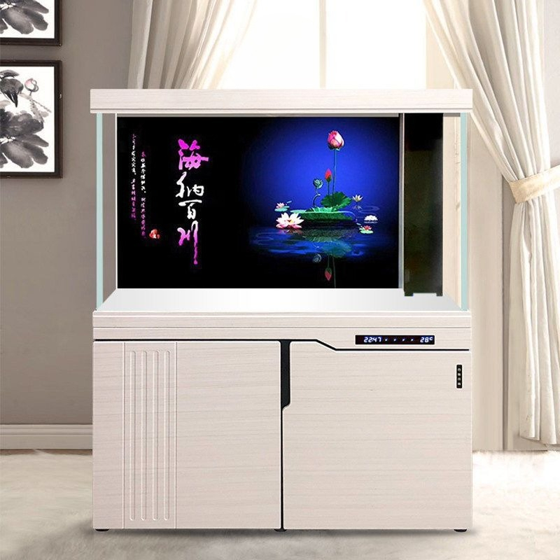 Acquario Xilong grande e medio - Aquarium Xilong recensione e prezzo
