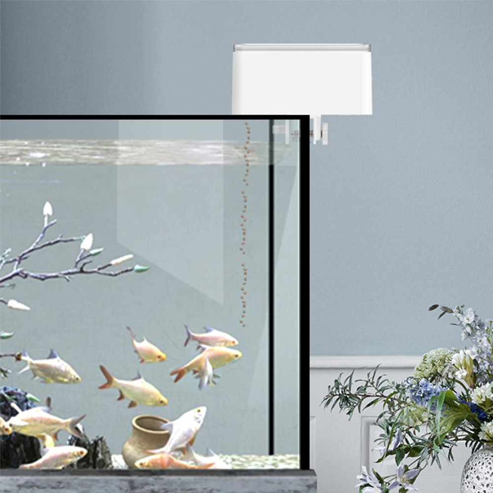 Alimentatore per pesci di gran - Aquarium Fish Auto Feeder recensione e prezzo