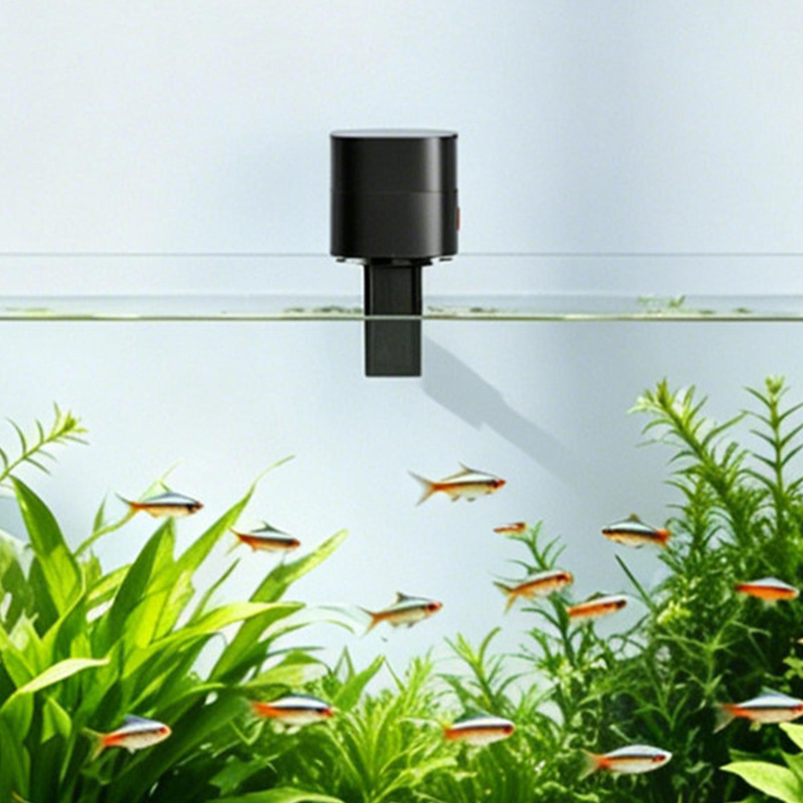 Distributore Automatico di Cib - Aquarium Fish Auto Feeder recensione e prezzo