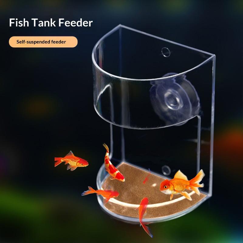 Popolare Set da 1/3/5 Pezzi di - Aquarium Fish Popular recensione e prezzo