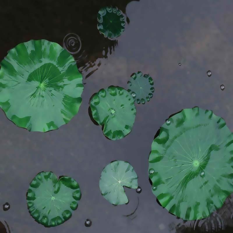 Foglie di Loto Artificiali Sen - Aquarium Fish In Pond recensione e prezzo