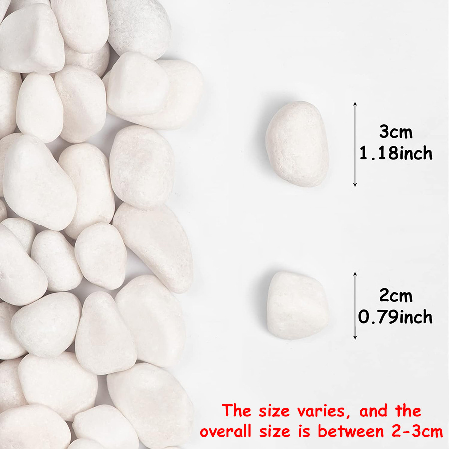 200/400g Bianco Alto Lucido Ci - Aquarium Fish Items recensione e prezzo