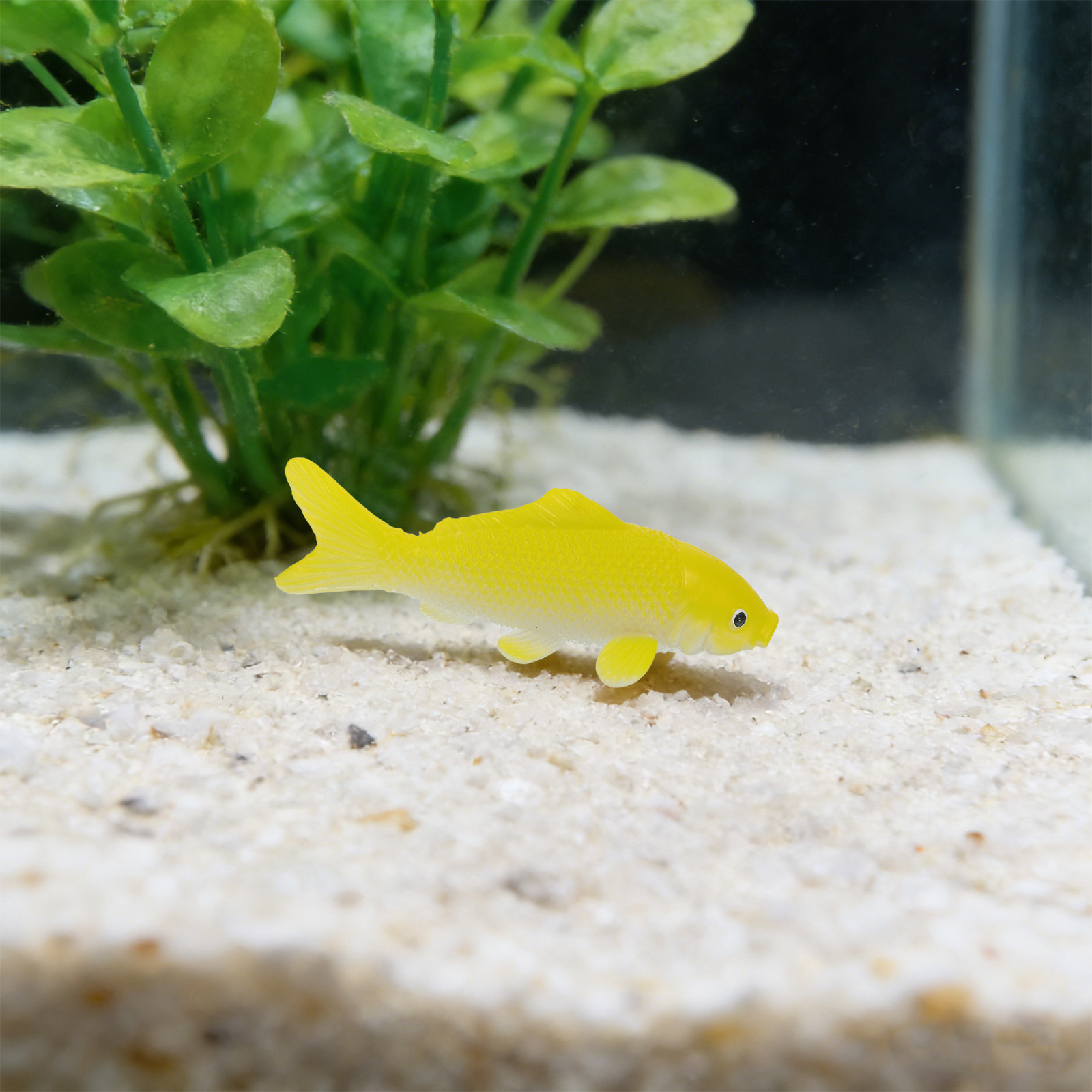 Set di 3 Statuette di Pesci Re - Aquarium Fish In Pond recensione e prezzo