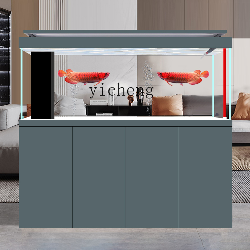 Acquario domestico LYY da pavi - Aquarium Xxl recensione e prezzo