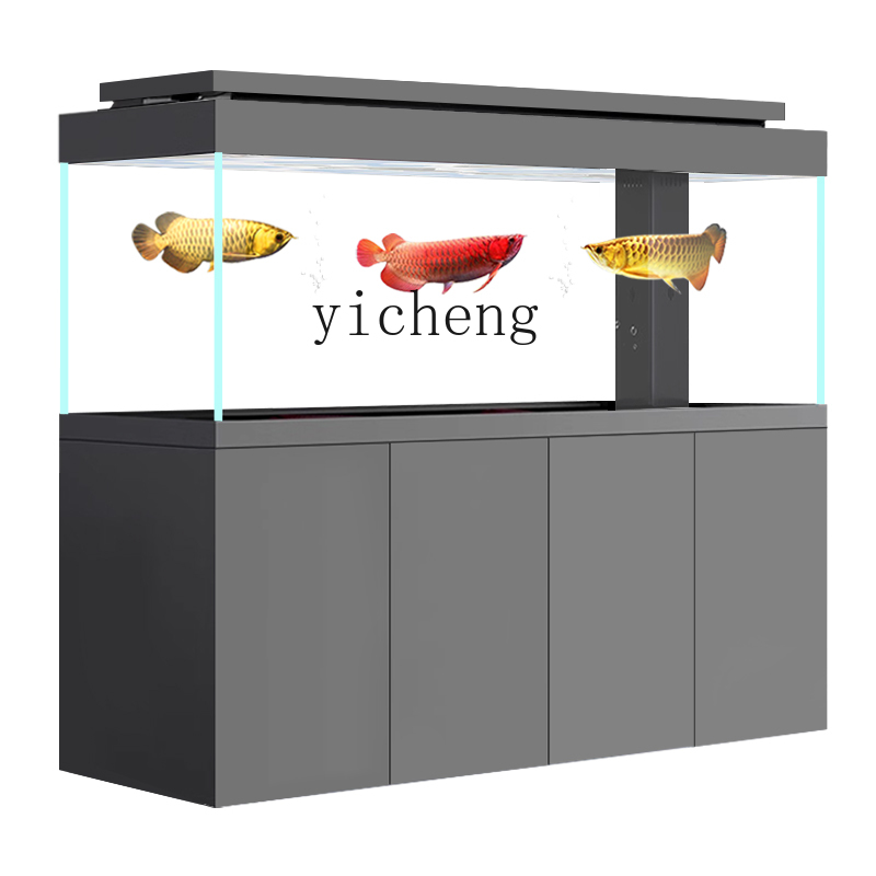 Acquario domestico LYY da pavi - Aquarium Xxl recensione e prezzo