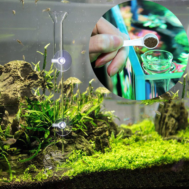 Mangiatoia per acquario in vet - Aquarium Fish Auto Feeder recensione e prezzo