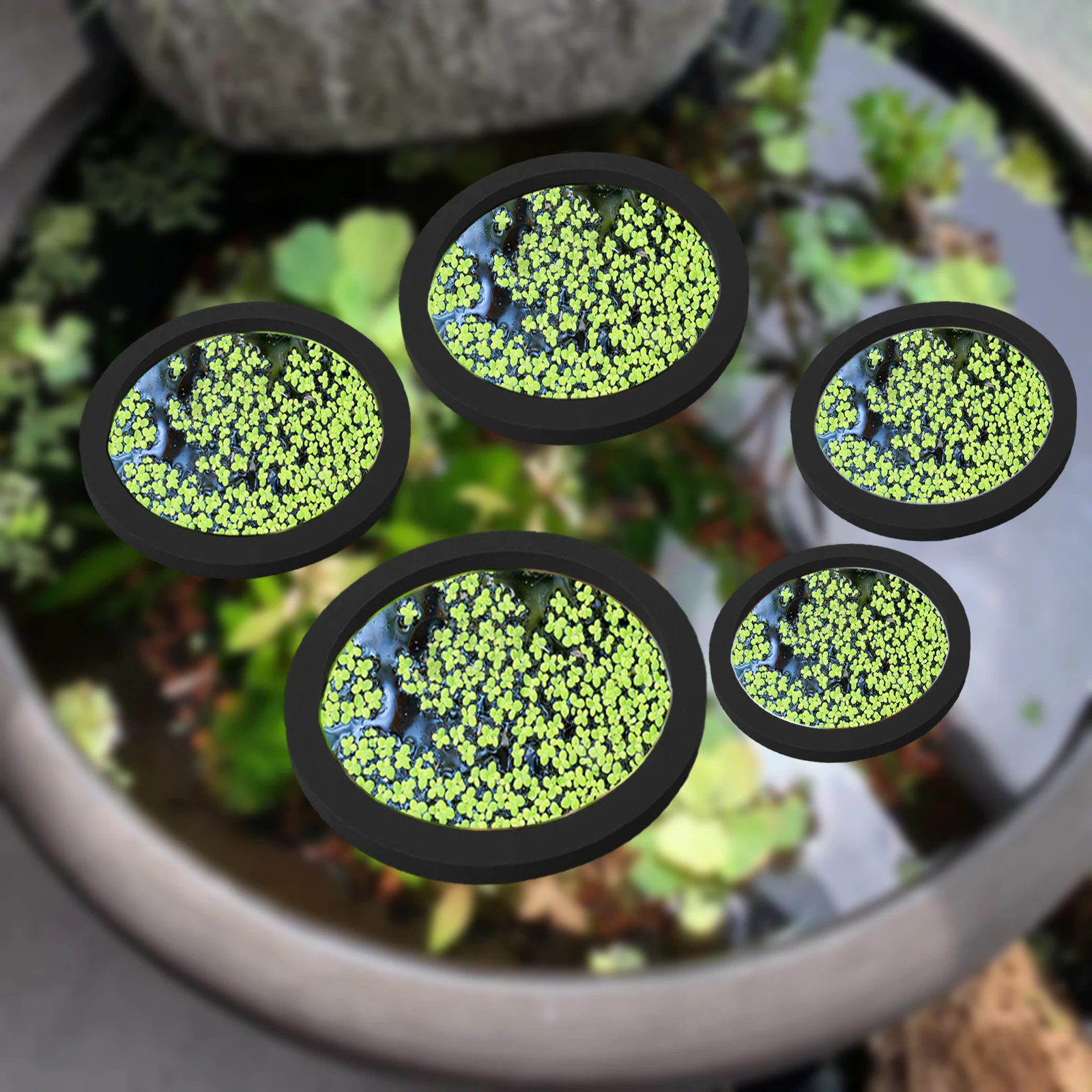5 pz EVA Anello di Alimentazio - Aquarium Fish In Pond recensione e prezzo