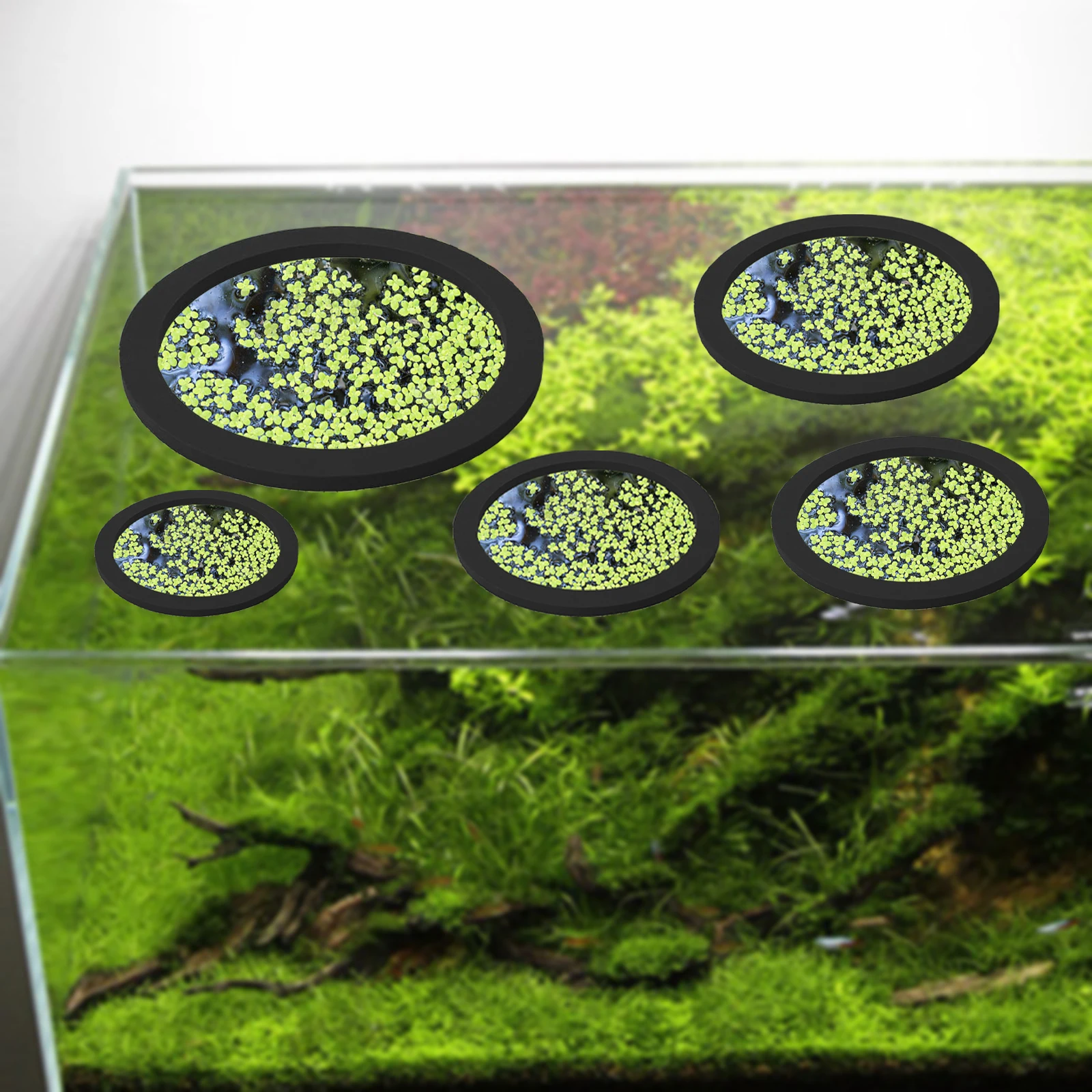 5 pz EVA Anello di Alimentazio - Aquarium Fish In Pond recensione e prezzo