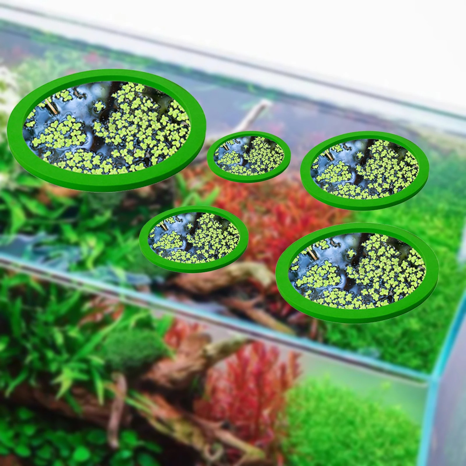 5 pz EVA Anello di Alimentazio - Aquarium Fish In Pond recensione e prezzo