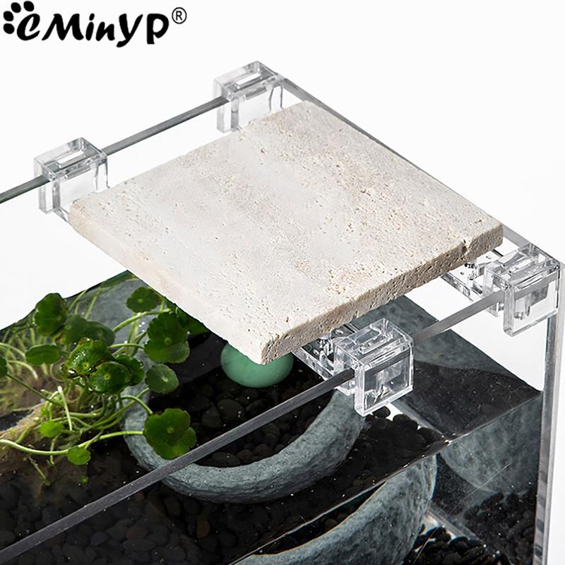 4 pezzi clip acriliche per acq - Aquarium Fish Items recensione e prezzo