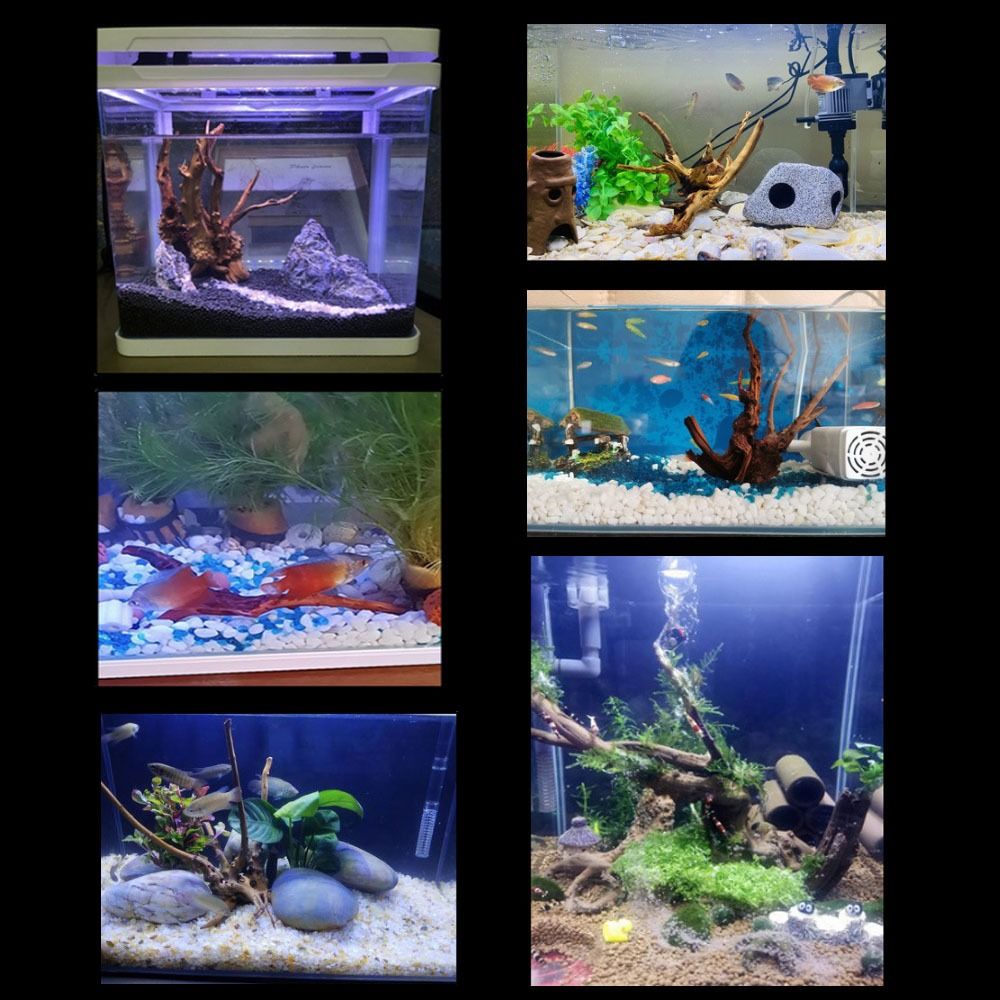 Legno Naturale per Acquario 20 - Aquarium Xxl recensione e prezzo