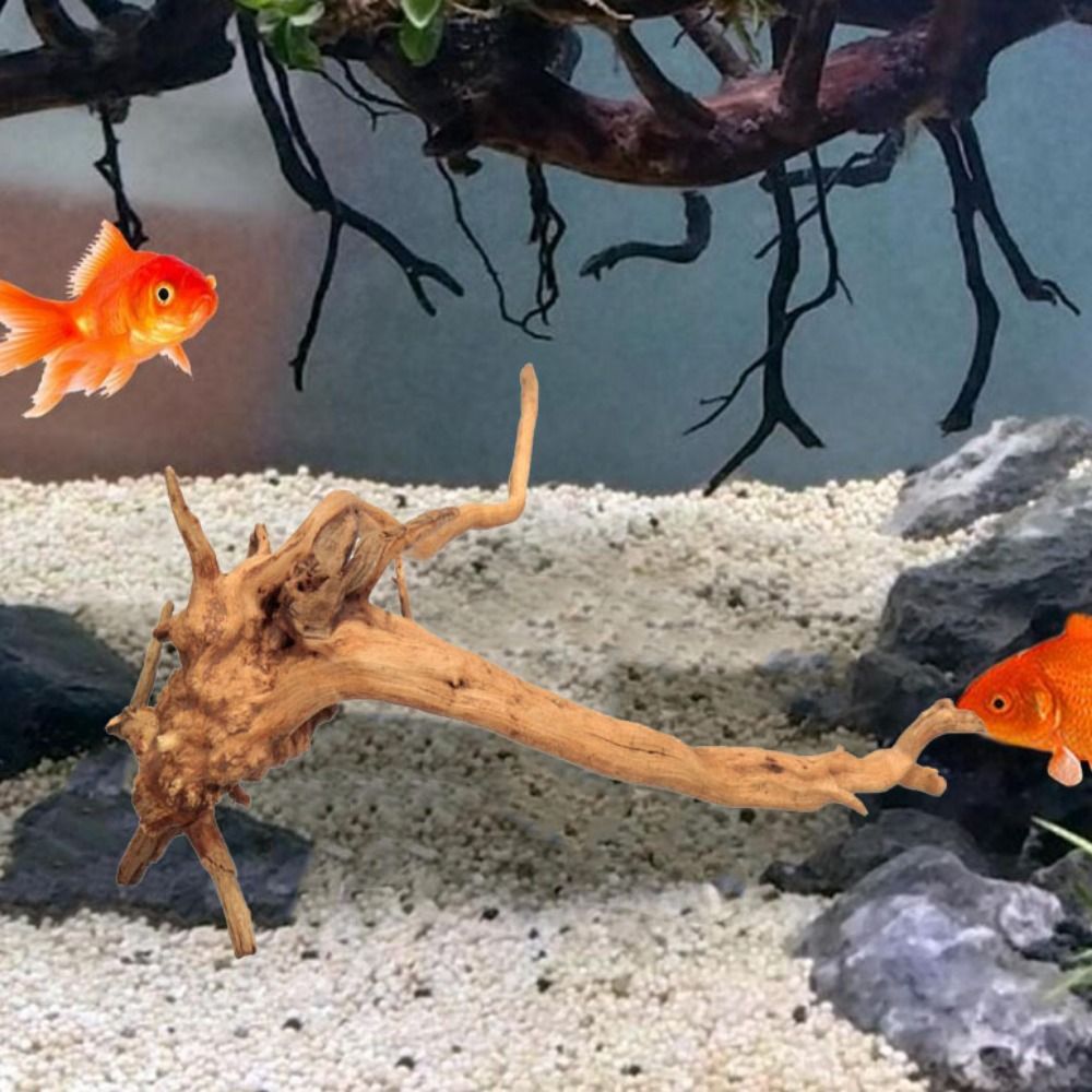 Legno Naturale per Acquario 20 - Aquarium Xxl recensione e prezzo