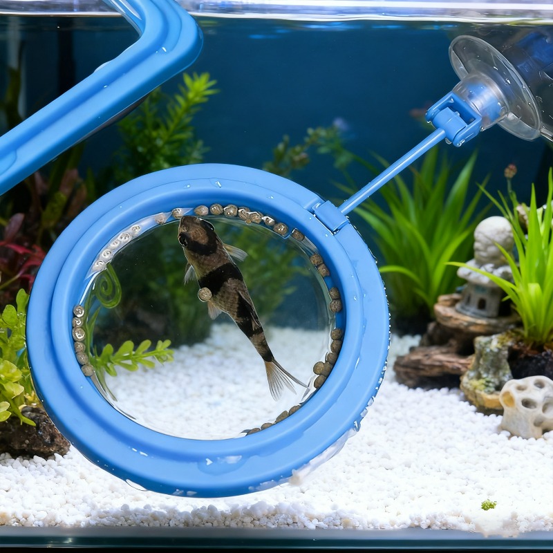 Anello Galleggiante per Alimen - Aquarium Fish Auto Feeder recensione e prezzo