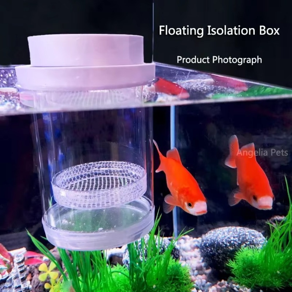 Scatola di isolamento per alle - Aquarium Fish Auto Feeder recensione e prezzo