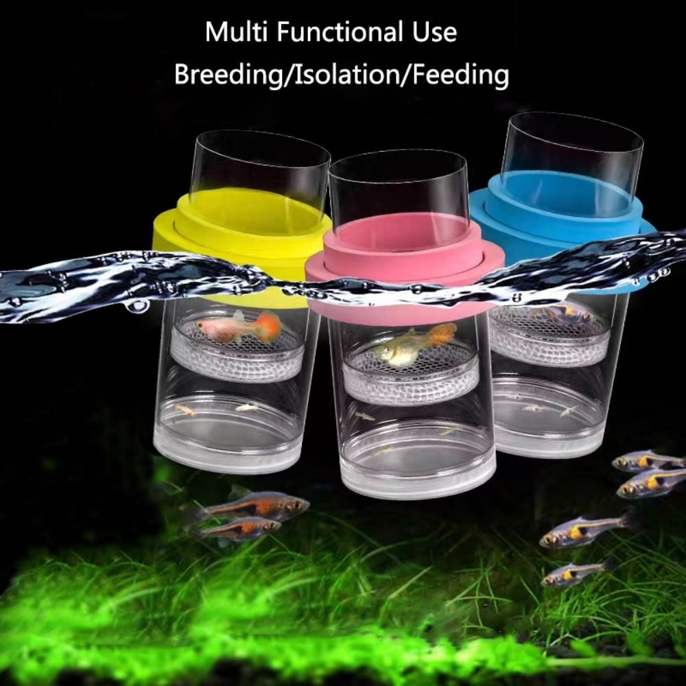 Scatola di isolamento per alle - Aquarium Fish Auto Feeder recensione e prezzo