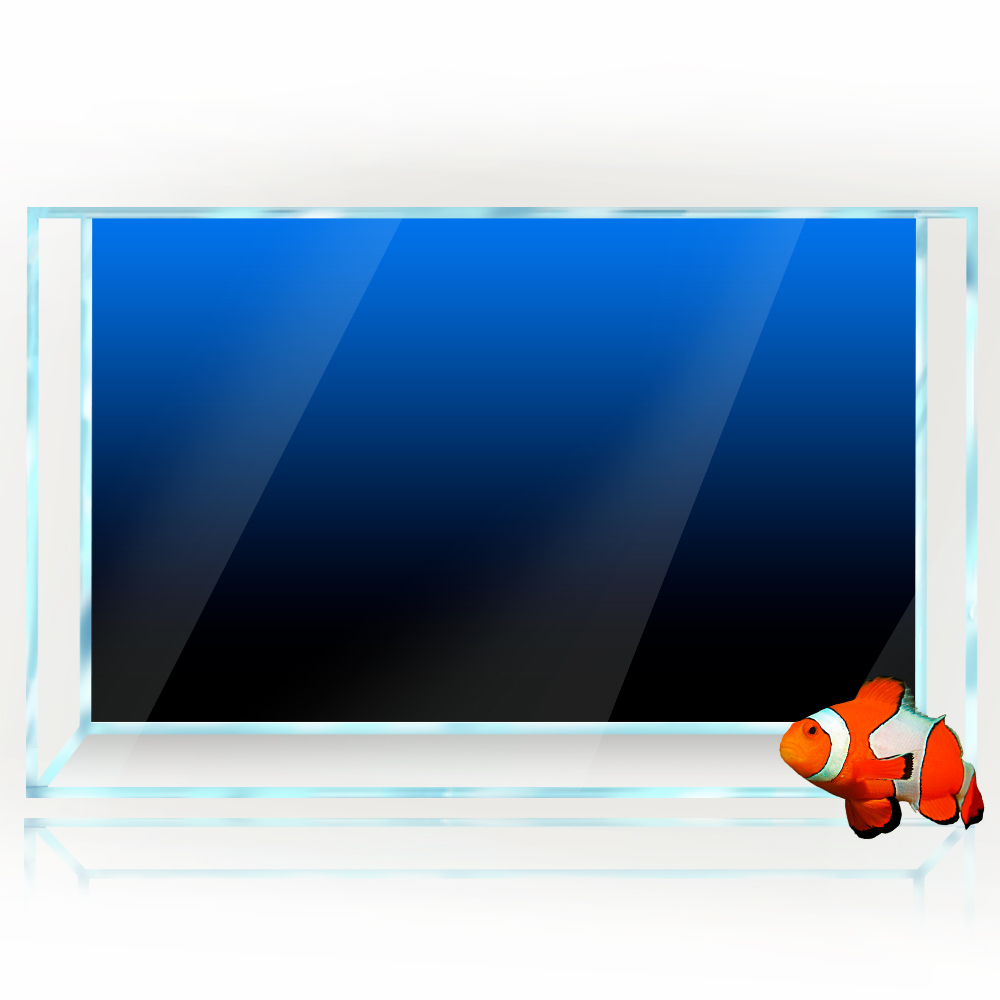 Adesivo per sfondo acquario Ne - Aquarium Fish Black recensione e prezzo