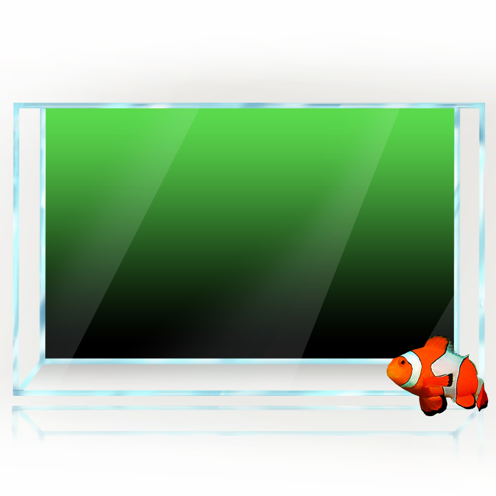 Adesivo per sfondo acquario Ne - Aquarium Fish Black recensione e prezzo