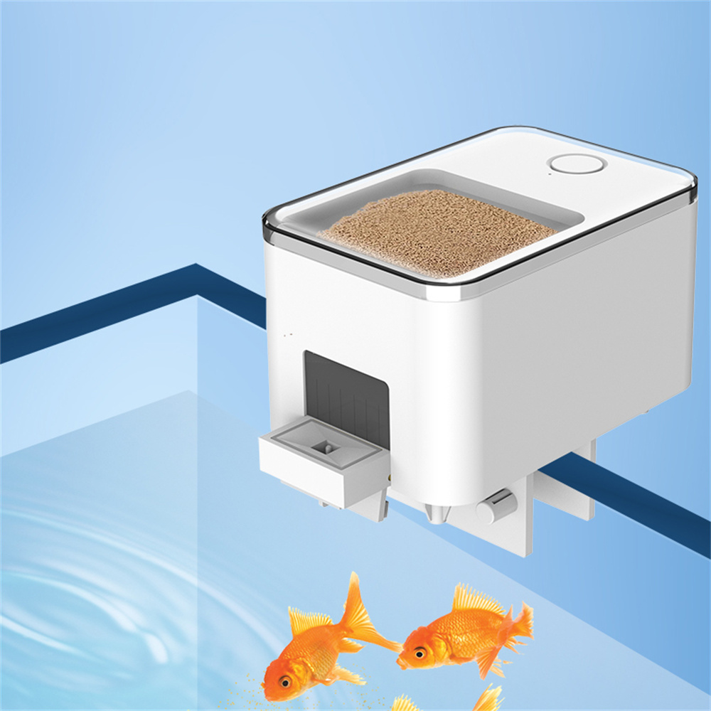 Alimentatore automatico intell - Aquarium Fish Auto Feeder recensione e prezzo
