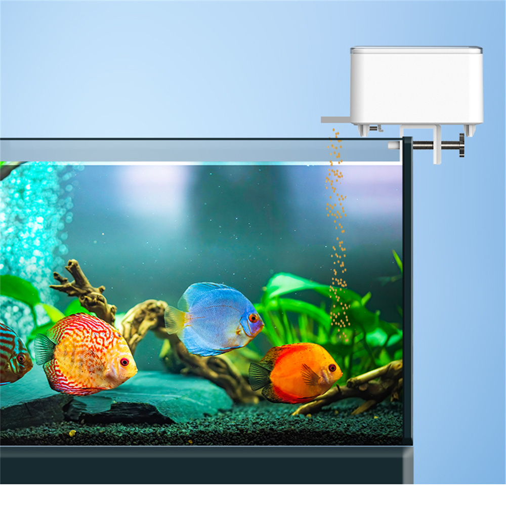Alimentatore automatico intell - Aquarium Fish Auto Feeder recensione e prezzo