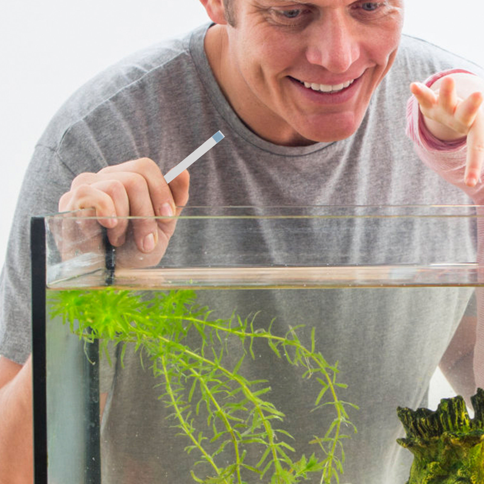 Strisce per Test Piscina, Test - Aquarium Fish In Pond recensione e prezzo