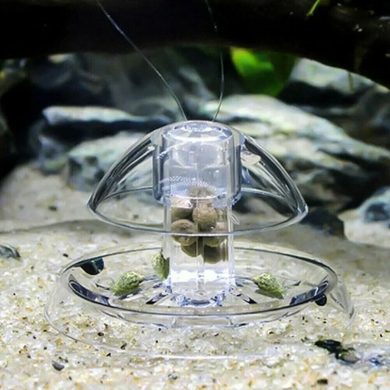 Trappola per Lumache da Acquar - Aquarium Fish Tank Cleaner recensione e prezzo