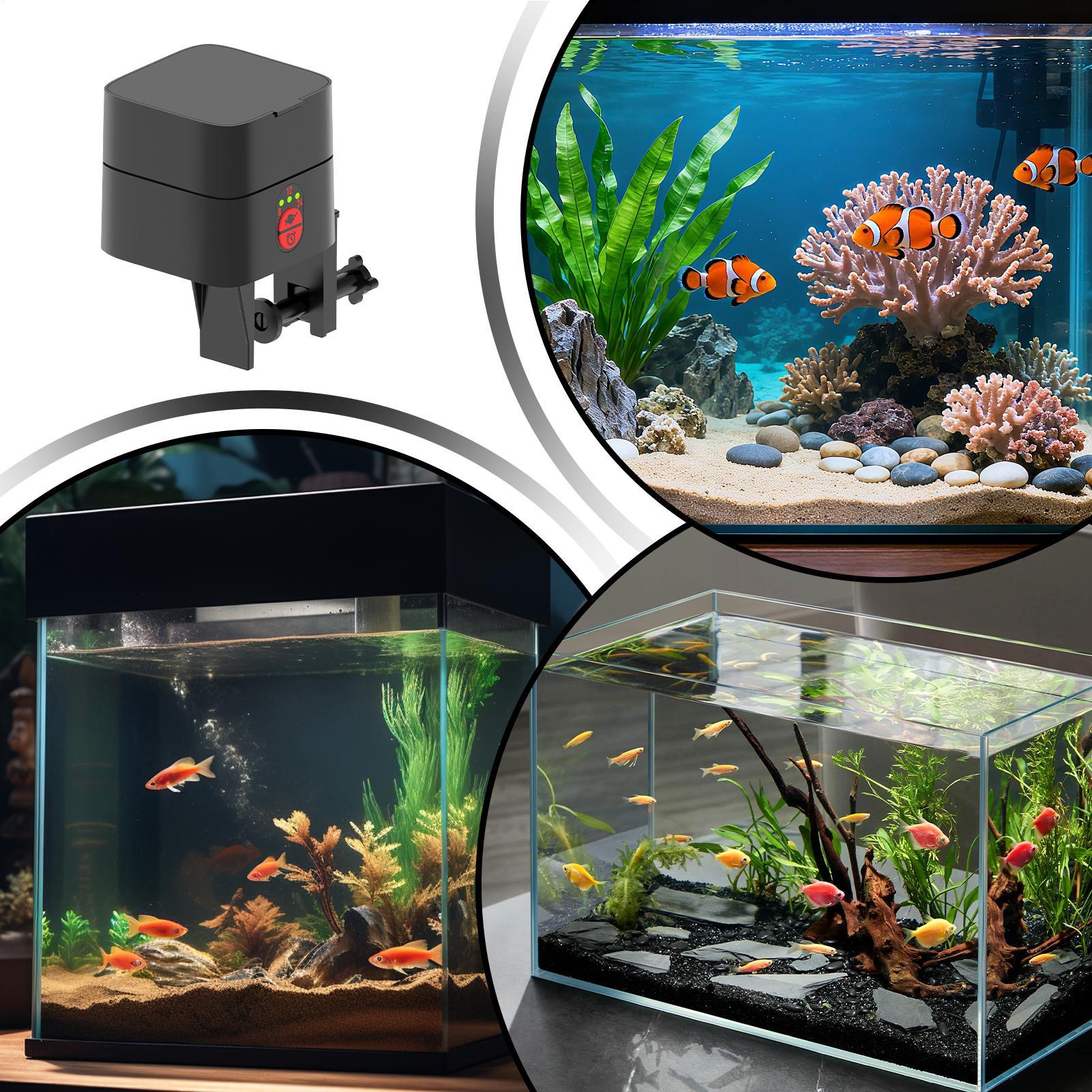 Distributore Automatico di Cib - Aquarium Fish Auto Feeder recensione e prezzo