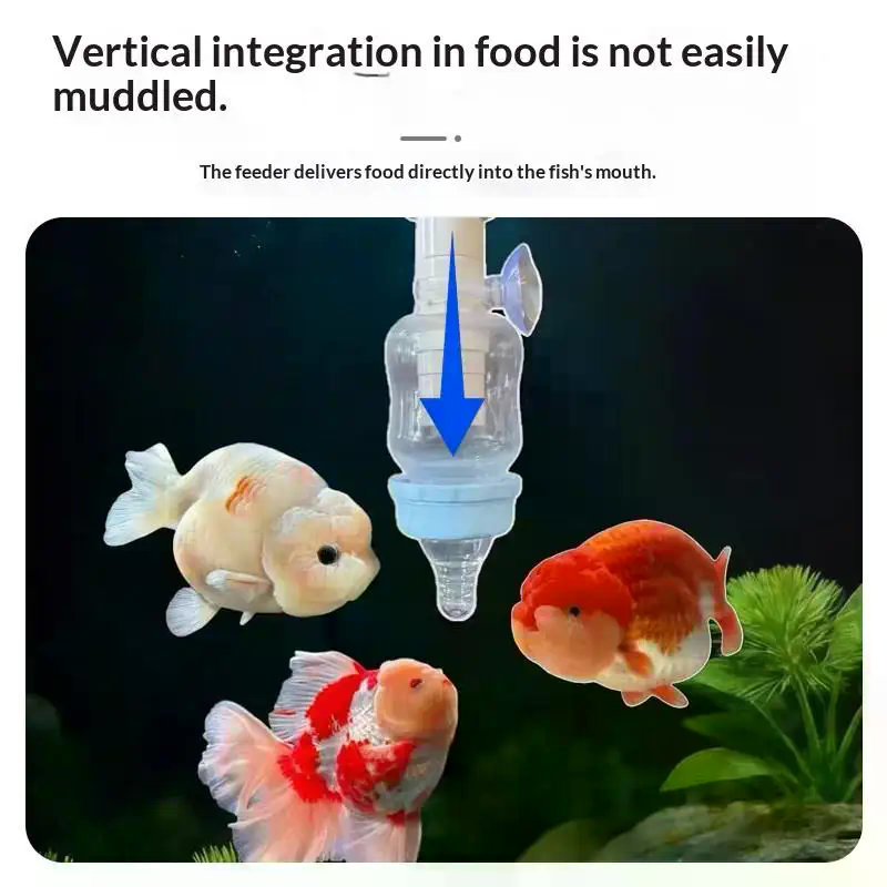 Popolare Alimentatore Preciso  - Aquarium Fish Popular recensione e prezzo