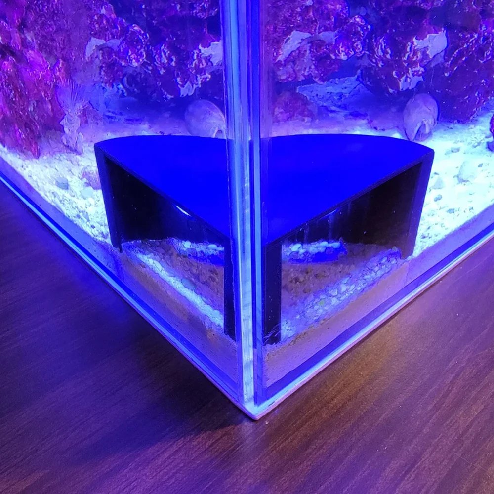 Gioco giocoso della casa del n - Aquarium Fish Game recensione e prezzo