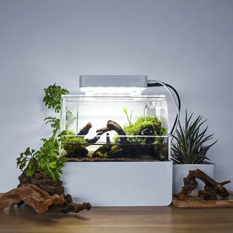 Relaxlines Acquario da Scrivan - Aquarium Fish Sale recensione e prezzo