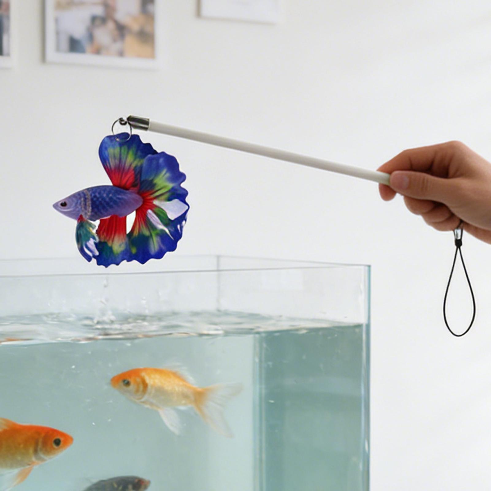 Bastoncino per l'allenamento d - Aquarium Fish Game recensione e prezzo
