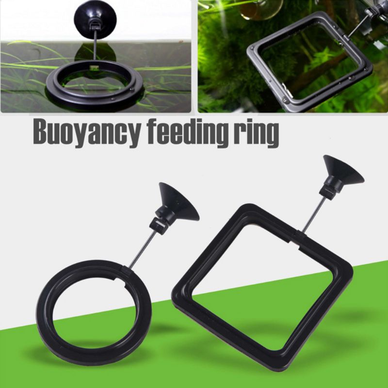 Anello Galleggiante per Alimen - Aquarium Fish Auto Feeder recensione e prezzo